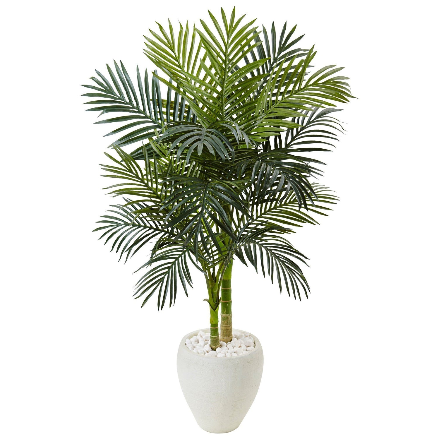 4.5’ Golden Cane Palm Tree in White Oval Planter