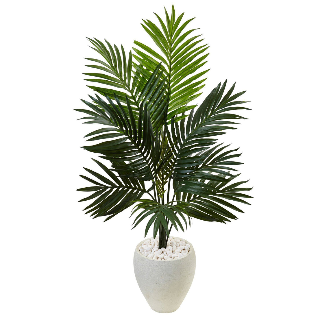 white palm tree plant 4.5’ Kentia Palm Tree in White Oval Planter
