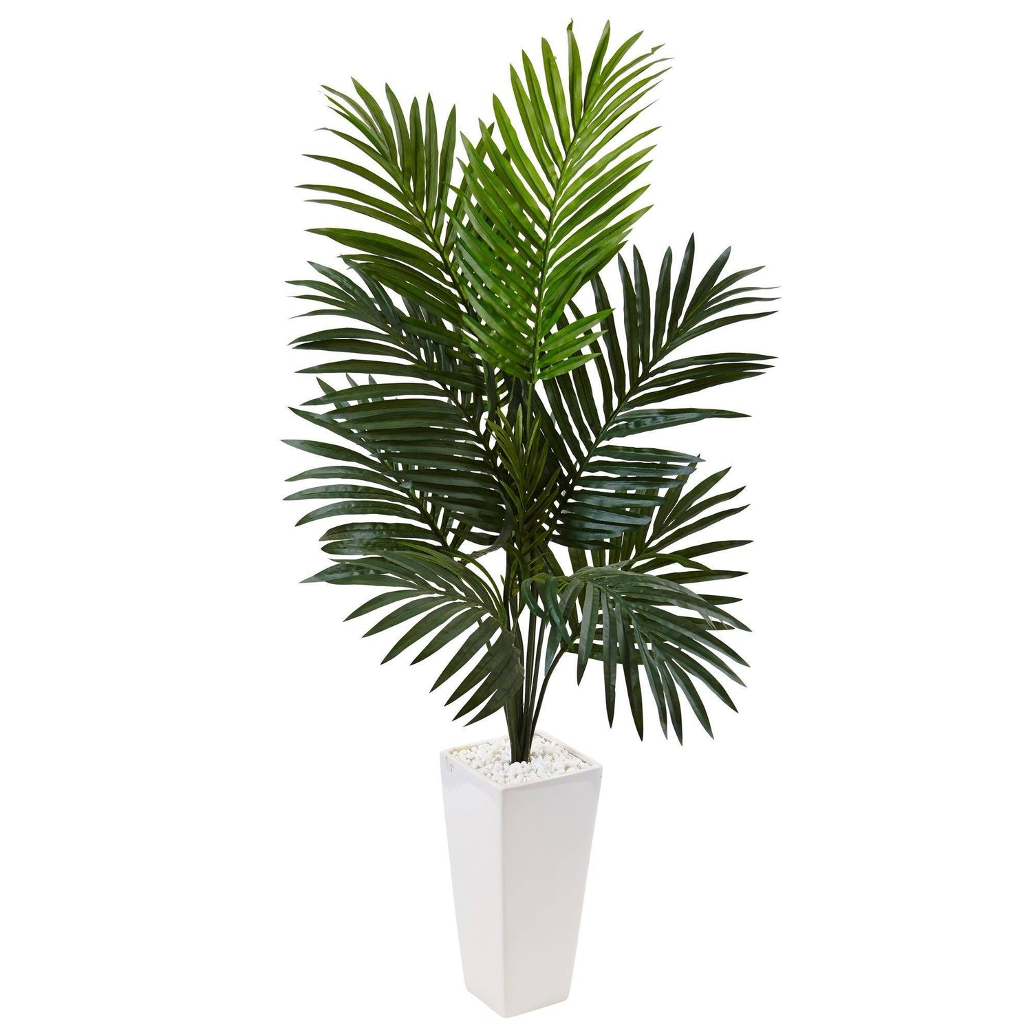 4.5’ Kentia Palm Tree in White Tower Planter