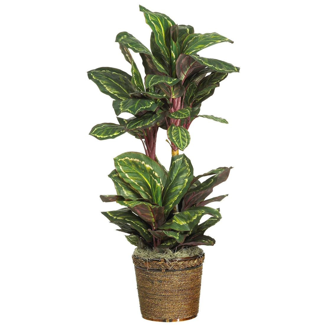 artificial prayer plant 45