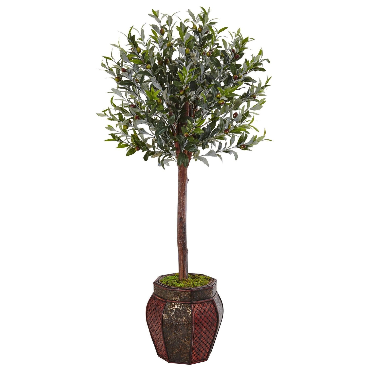 4.5’ Olive Topiary Tree in Weave Panel Planter
