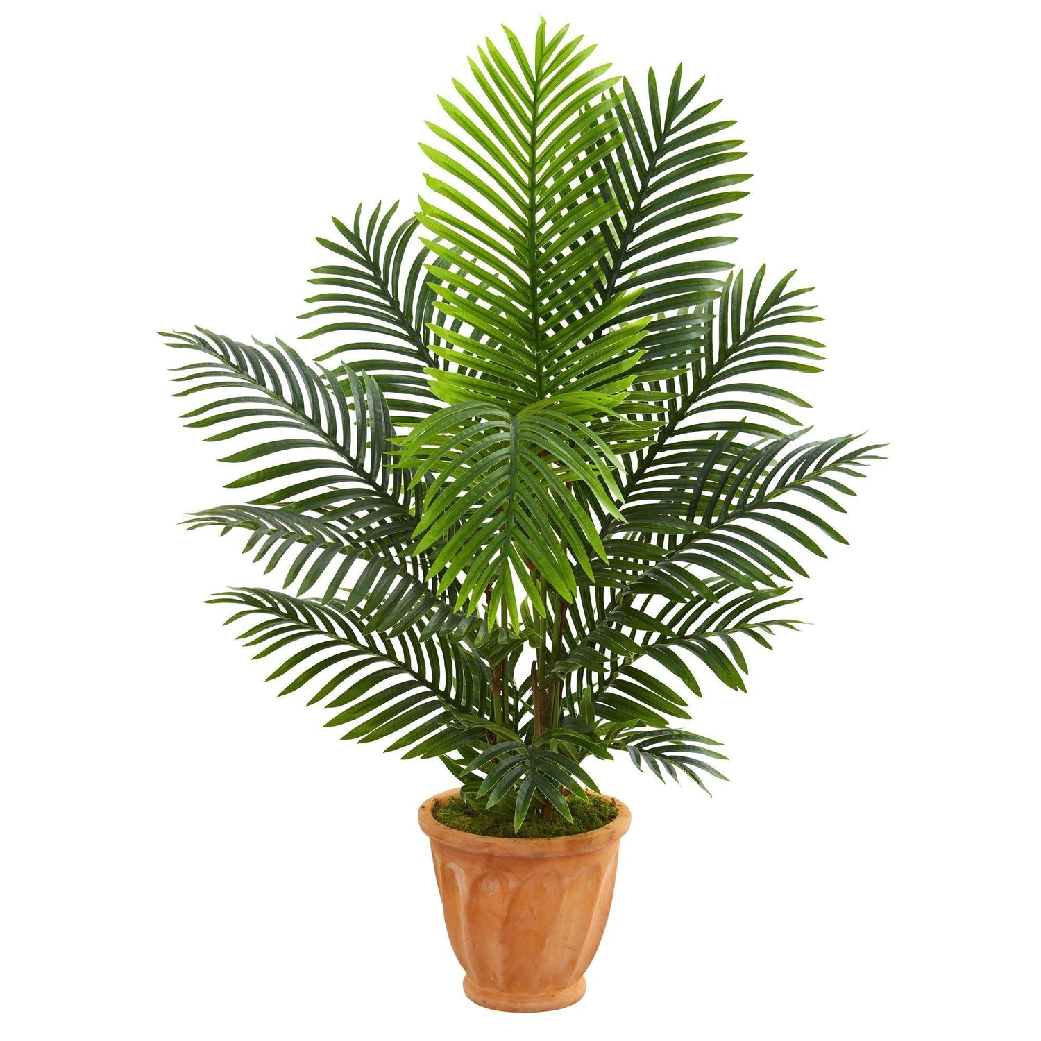 4.5’ Paradise Palm Artificial Tree in Terra Cotta Planter