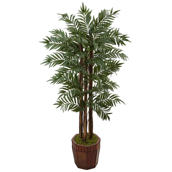 4.5’ Parlour Palm Tree in Bamboo Planter