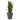 45” Sansevieria Artificial Plant in Sate Planter