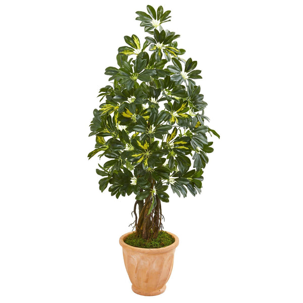 4.5’ Schefflera Artificial Tree in Terra Cotta Planter