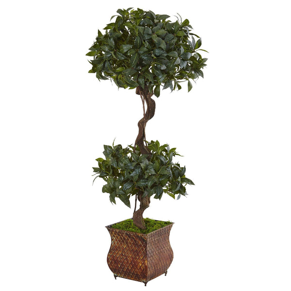 4.5’ Sweet Bay Double Topiary Tree in Metal Planter