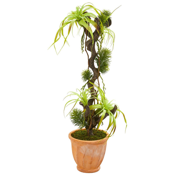 45” Tillandsia Artificial Plant in Terra-Cotta Planter