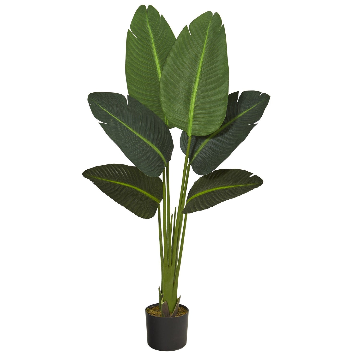 45” Traveler’s Palm Artificial Plant (Real Touch)