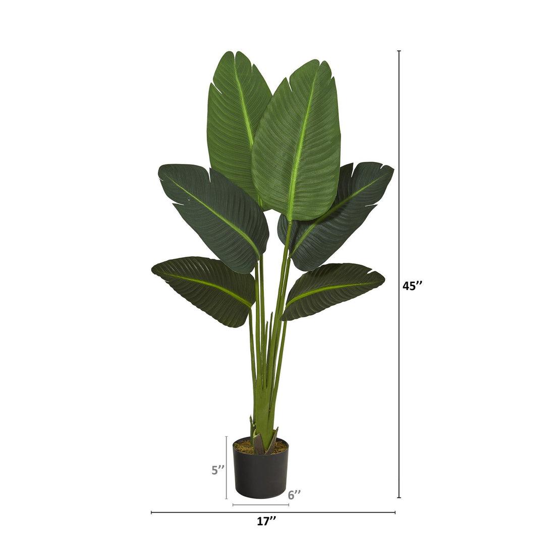 travel palm plant 45” Traveler's Palm Artificial Plant (Real Touch)