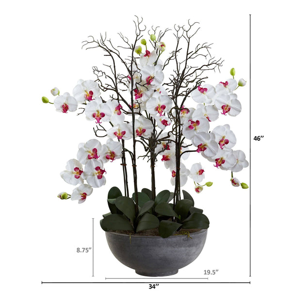 46" Giant Phalaeopsis w/Cement bowl"
