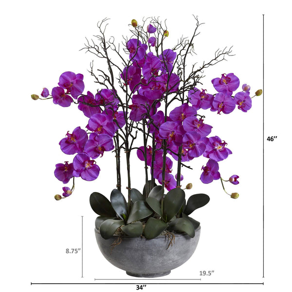 46" Giant Phalaeopsis w/Cement bowl"