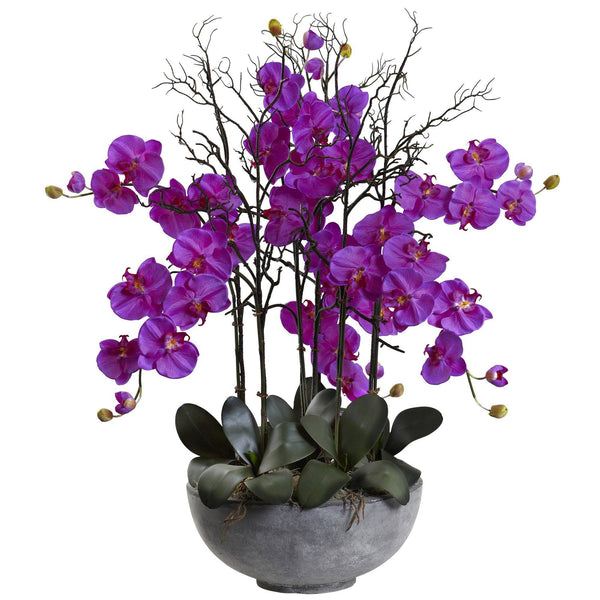 46" Giant Phalaeopsis w/Cement bowl"