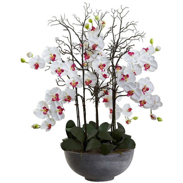 46" Giant Phalaeopsis w/Cement bowl"