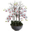46" Giant Phalaeopsis w/Cement bowl"