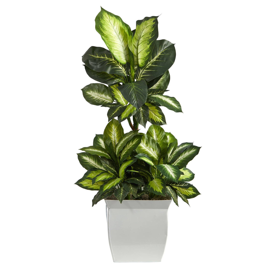 dieffenbachia plant and pets 46” Golden Dieffenbachia Artificial Plant in White Metal Planter