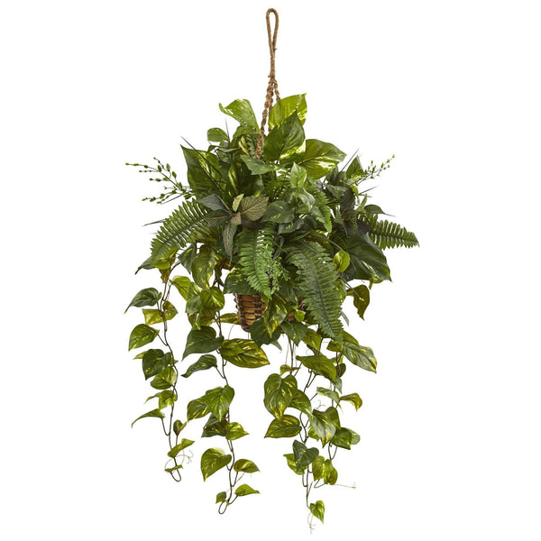 46" Mixed Pothos and Boston Fern in Hanging Basket"