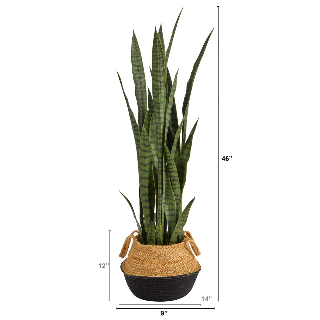 sansevieria perennial 46” Sansevieria Plant in Cotton & Jute Black Woven Planter