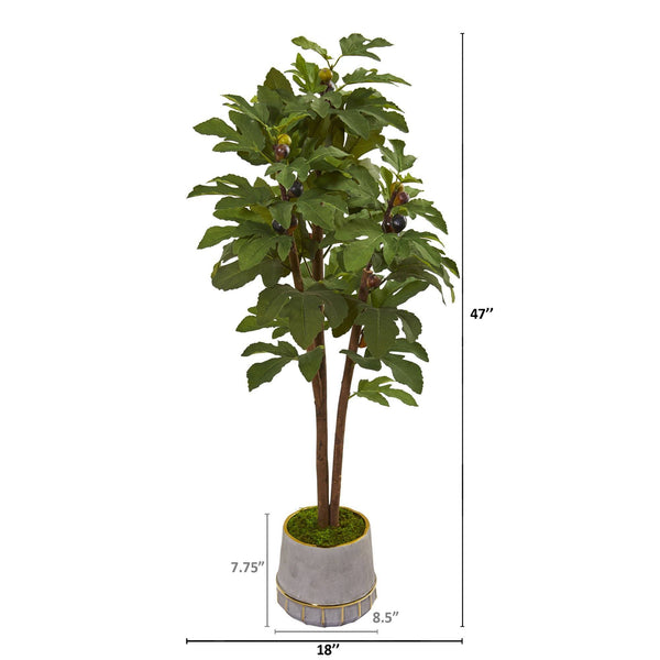 47” Fig Artificial Tree in Stoneware Vase with Gold Trimming