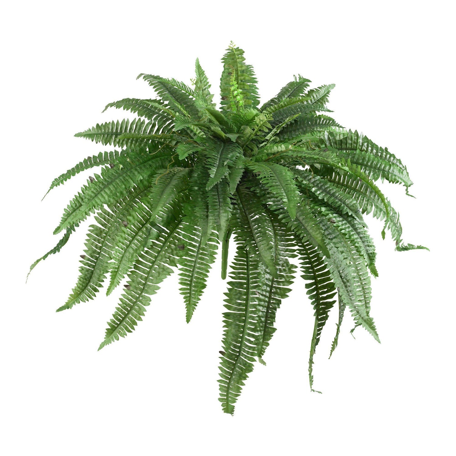 12 Bundles Artificial Ferns for Outdoors UV Resistant Artificial Outdoor  Plants Faux Fern Greenery Fake Fern Faux Boston for Indoor Home Outside  Ground Porch Garden Arrangements. (Green) 