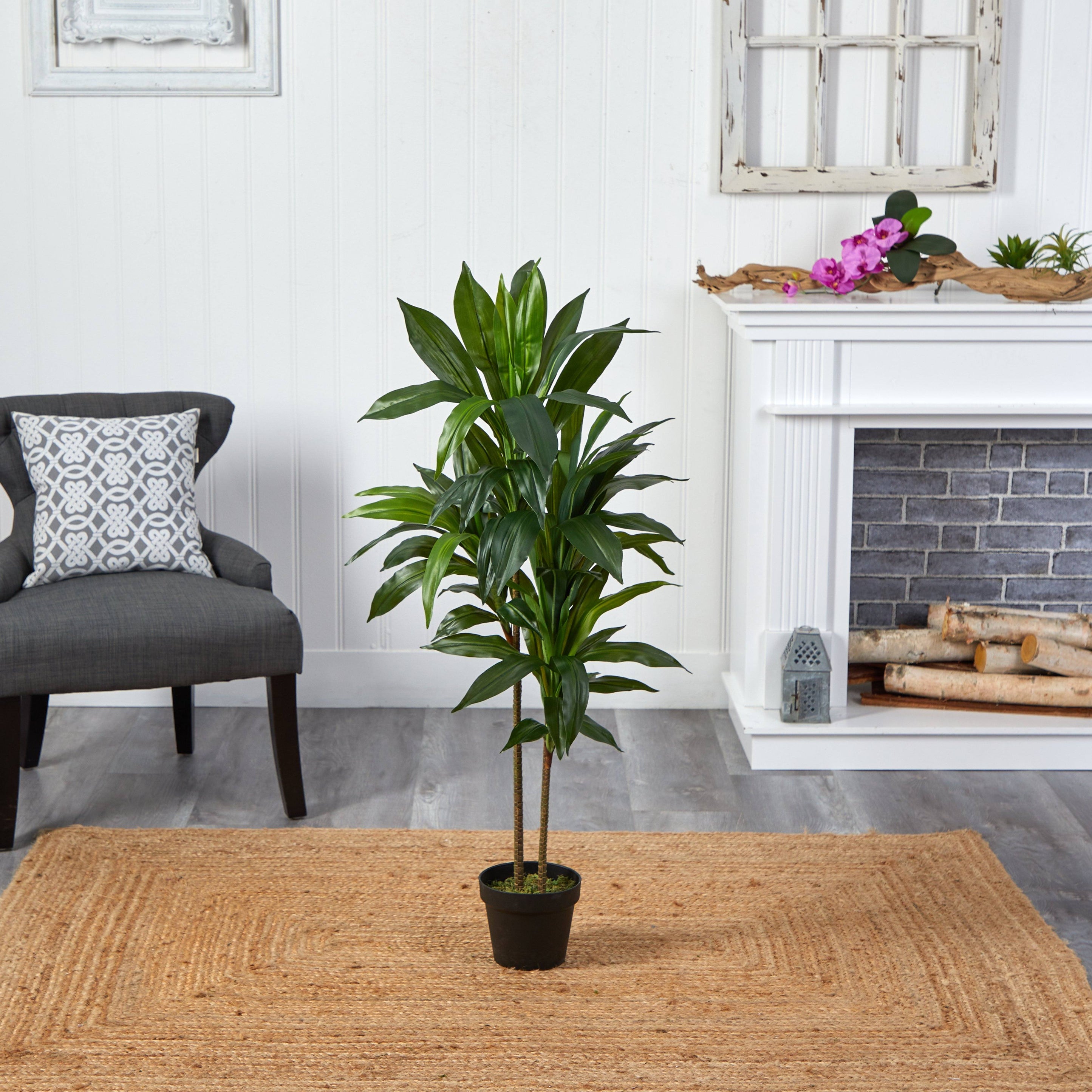 48" Dracaena Silk Plant (Real Touch) | Nearly Natural"