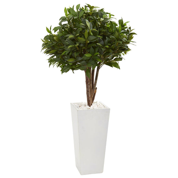 49” Bay Leaf Topiary Artificial Tree in White Tower Planter