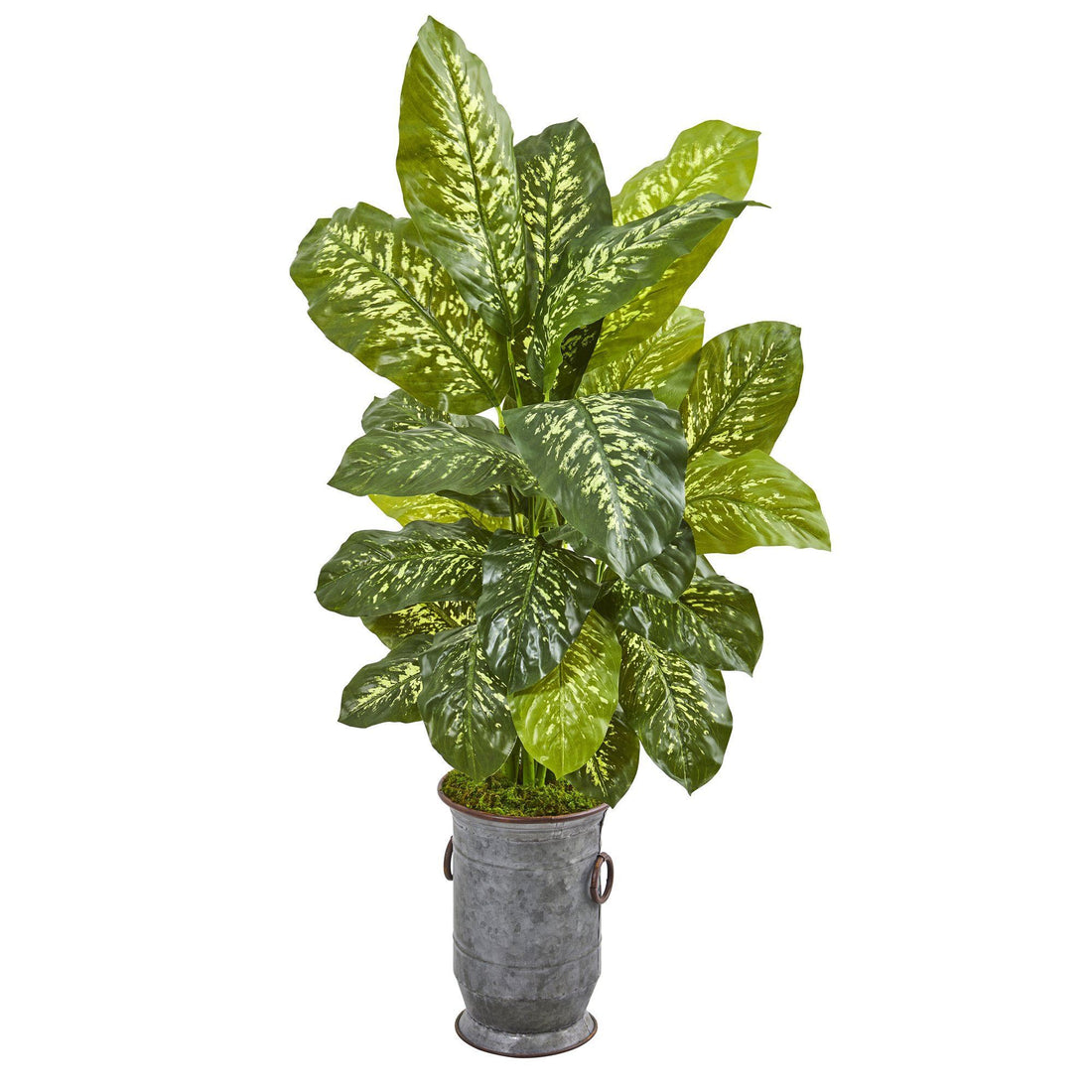 dieffenbachia sensation 49” Dieffenbachia Artificial Plant in Vintage Metal Planter (Real Touch)