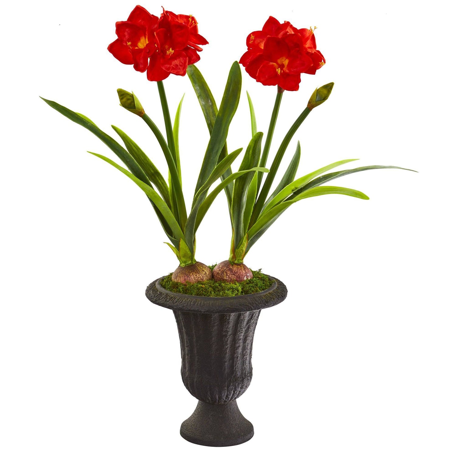 49” Double Amaryllis Artificial Plant in Charcoal Urn