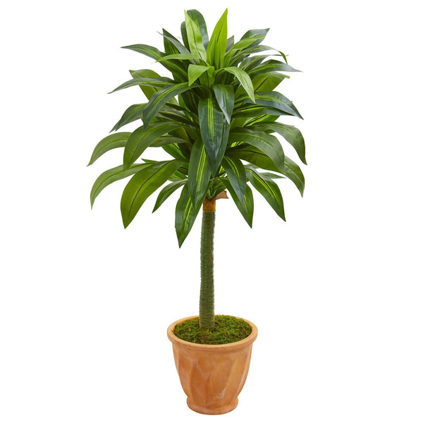49” Dracaena Artificial Plant in Terra Cotta Planter