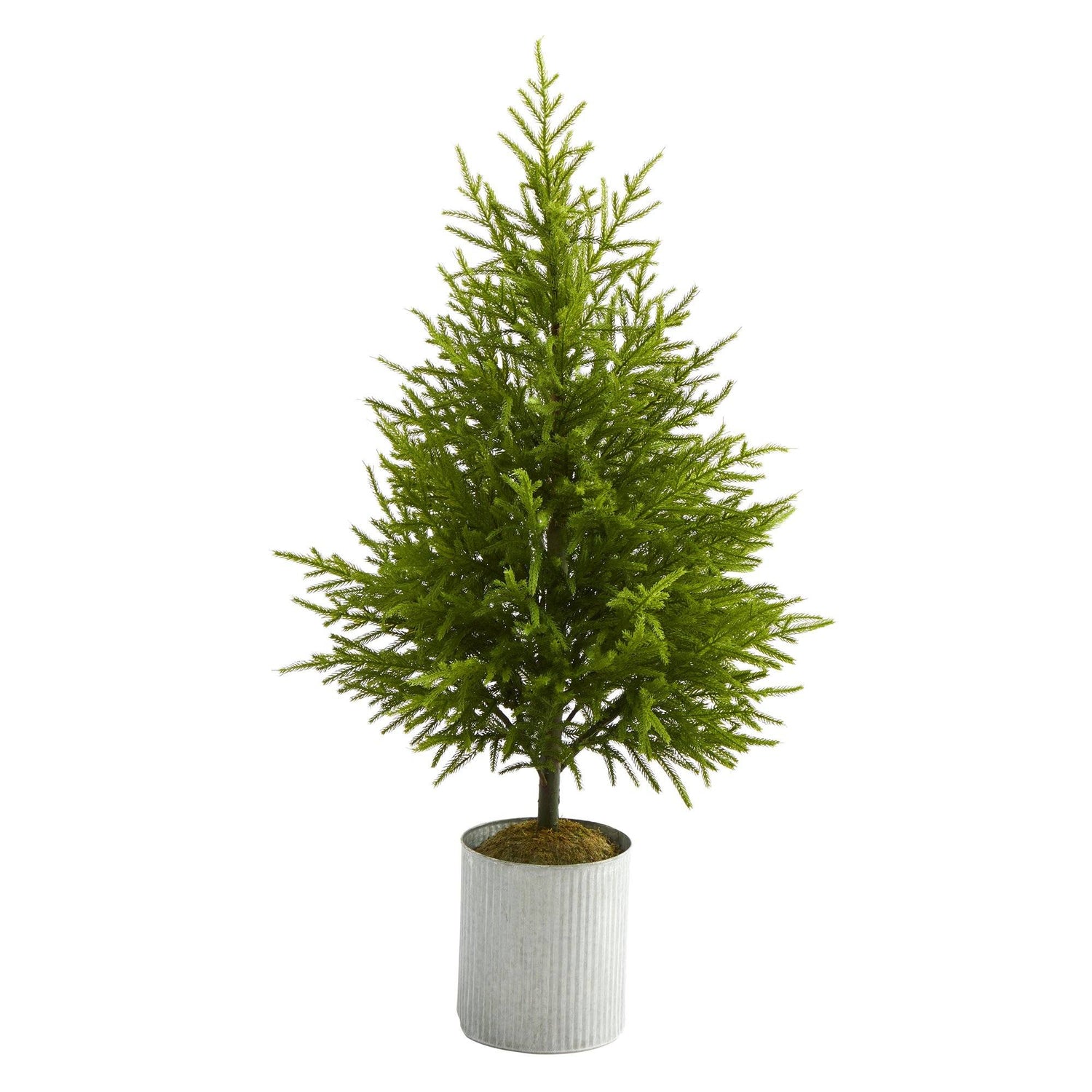 49” Norfolk Island Pine “Natural Look” Artificial Christmas Tree