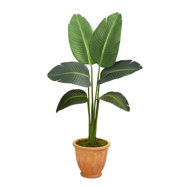 49” Traveler’s Palm Artificial Plant in Terra-Cotta Planter (Real Touch)