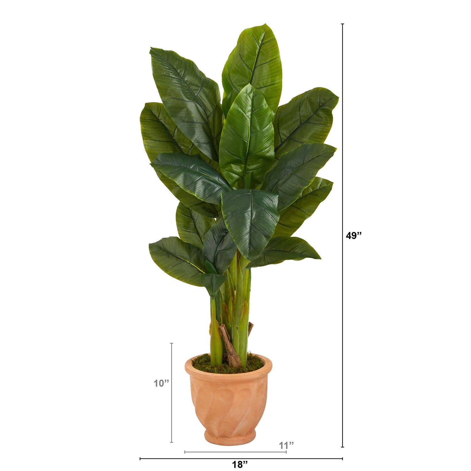 49” Triple Stalk Artificial Banana Tree in Terra-Cotta Planter (Real Touch)