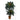 5’ and 3’ Double Sago Palm Artificial Tree with Basket