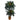 5’ and 3’ Double Sago Palm Artificial Tree with Basket