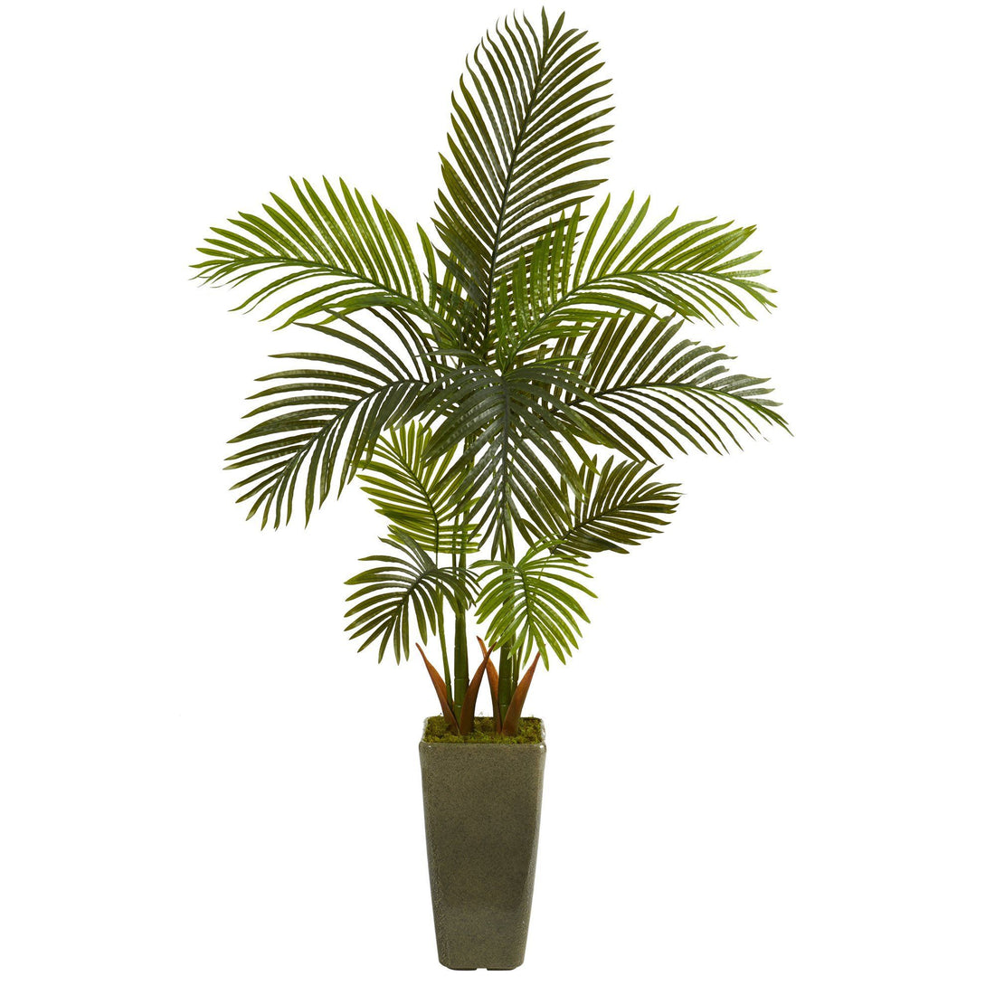 palm foliage plant 5' Areca Palm Artificial Tree in Green Planter