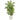 5’ Areca Palm Artificial Tree in White Planter