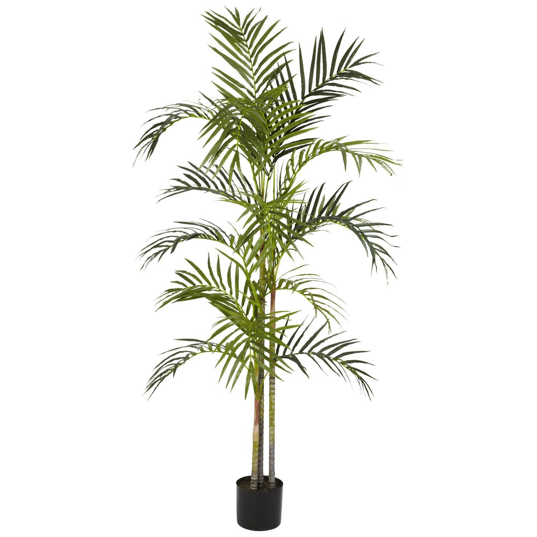 4.5 areca palm silk tree with basket 5' Areca Palm Silk Tree