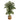 5’ Artificial Double Stalk Golden Cane Palm Tree with Handmade Woven Cotton Basket
