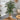 5’ Artificial Double Stalk Golden Cane Palm Tree with Handmade Woven Cotton Basket
