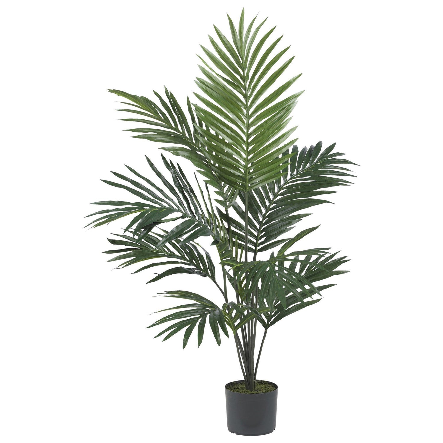 5' Artificial Kentia Palm Silk Tree