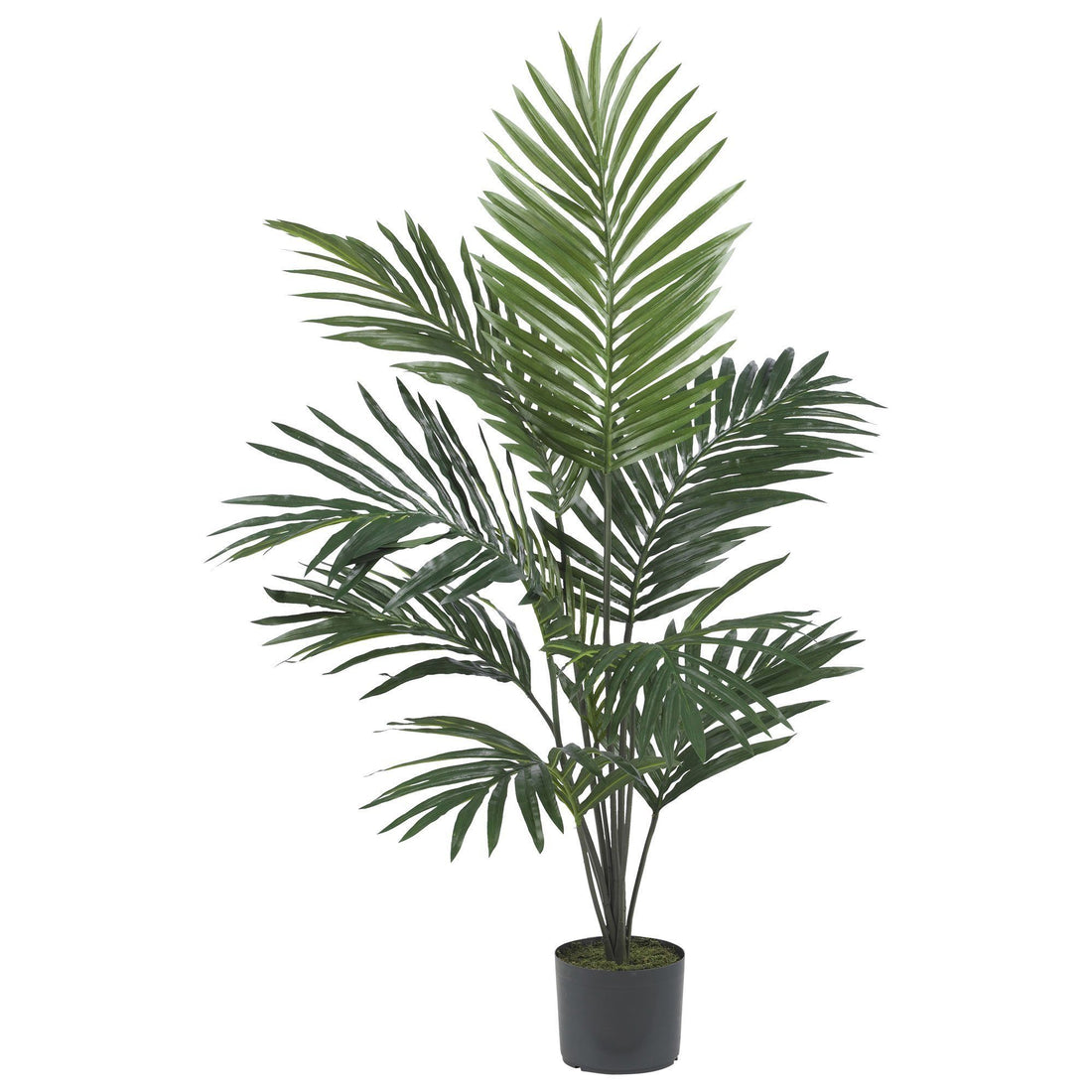 5' Tall Kentia Palm Silk Tree | Nearly Natural