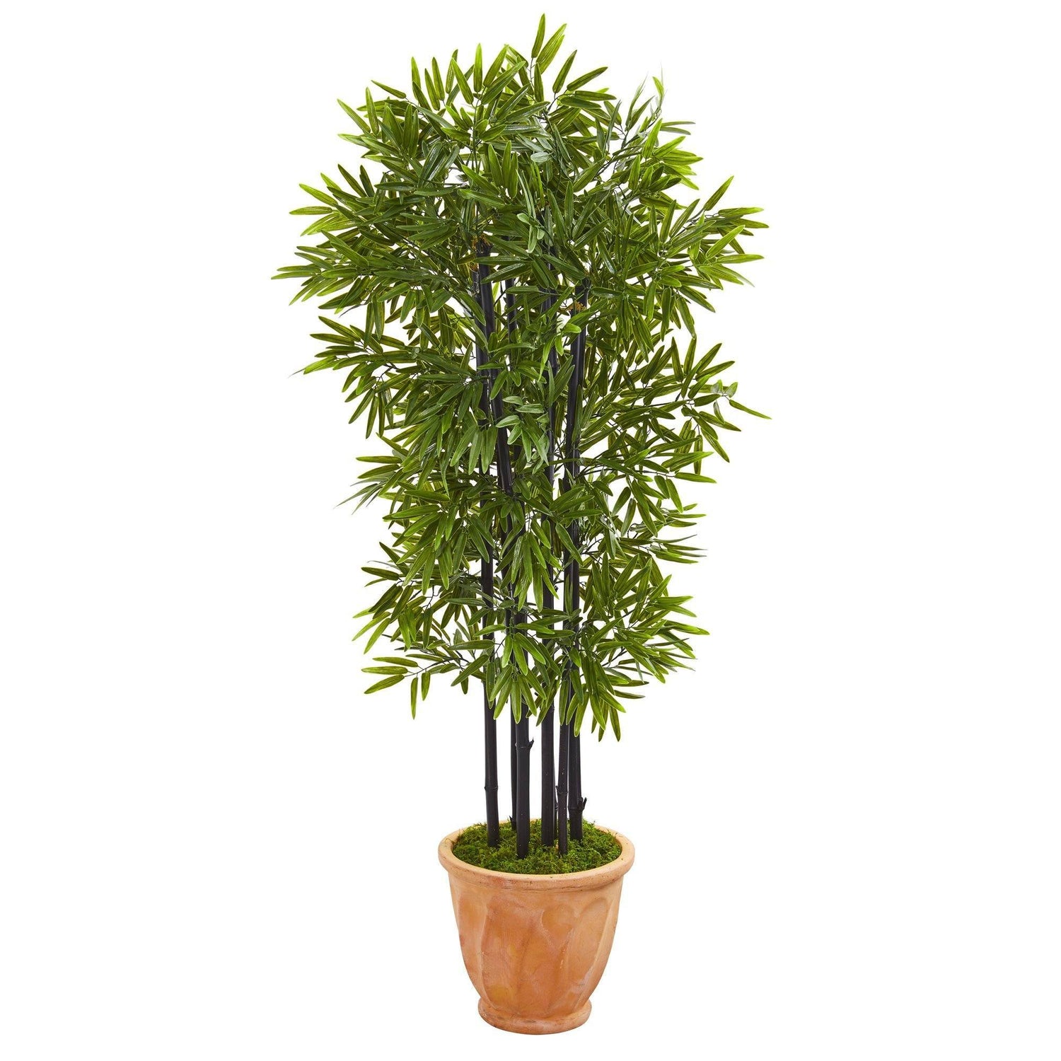 5’ Bamboo Artificial Tree with Black Trunks in Terra-cotta Planter (Indoor/Outdoor)