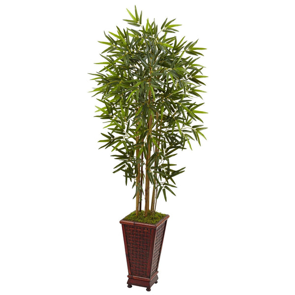 5’ Bamboo Tree in Decorative Planter