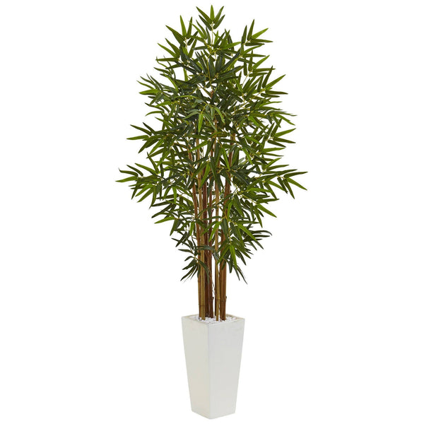 5’ Bamboo Tree in White Tower Planter