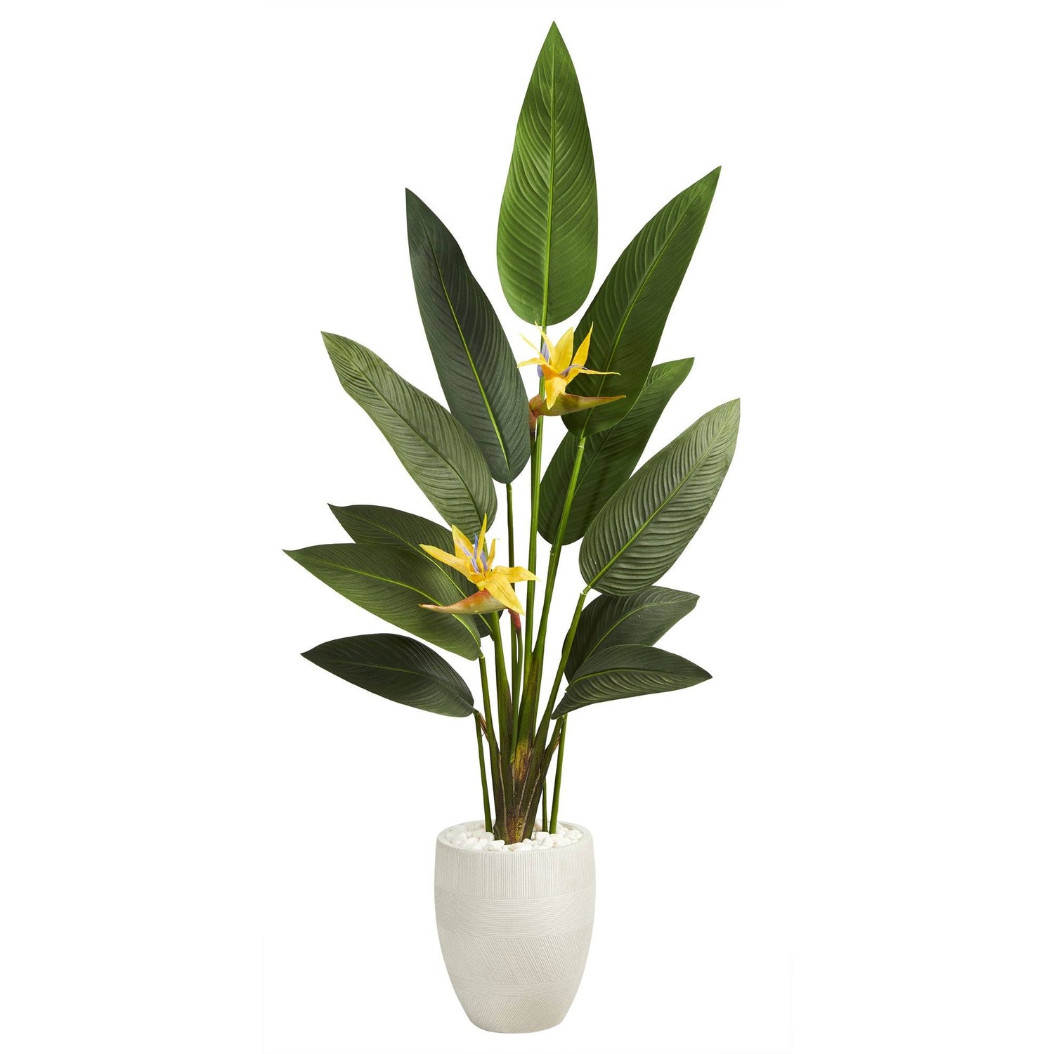 5’ Bird of Paradise Artificial Plant in White Planter (Real Touch)