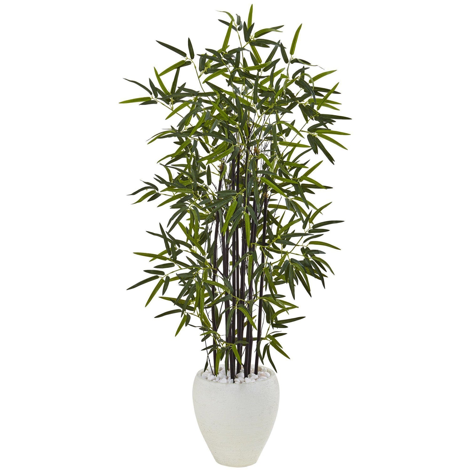 5’ Black Bamboo Tree in White Oval Planter