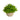 5” Boxwood Artificial Plant in Decorative Planter