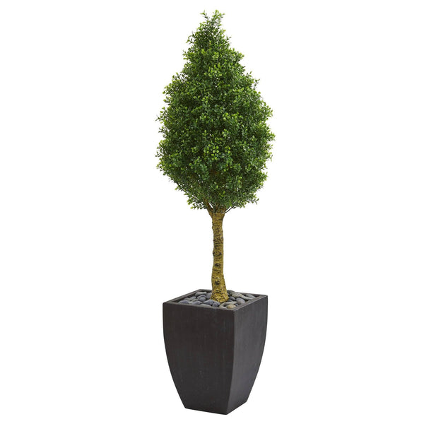 5’ Boxwood Cone Artificial Tree in Black Wash Planter (Indoor/Outdoor)