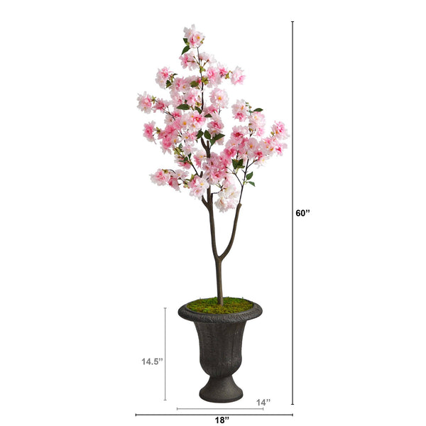 5’ Cherry Blossom Tree in Charcoal Urn
