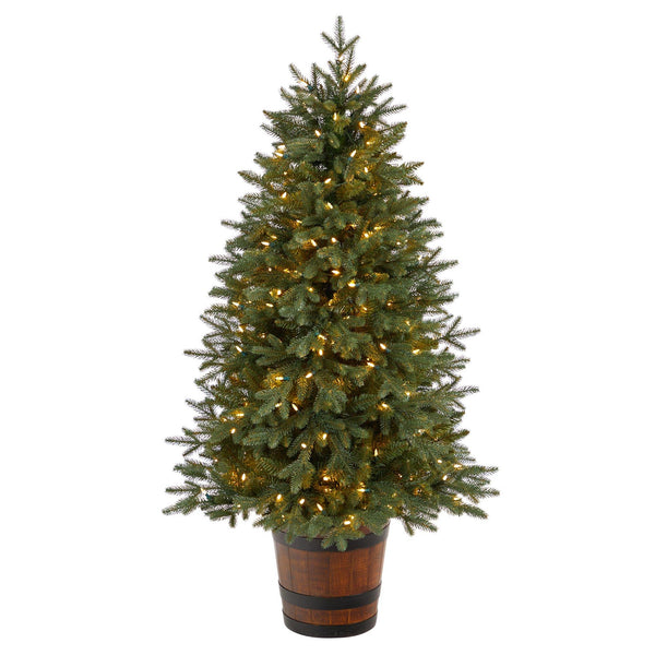 5' Colorado Aspen Pre-Lit Porch Artificial Christmas Tree