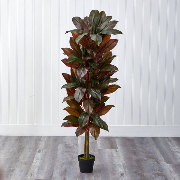 5' Cordyline Silk Plant (Real Touch)